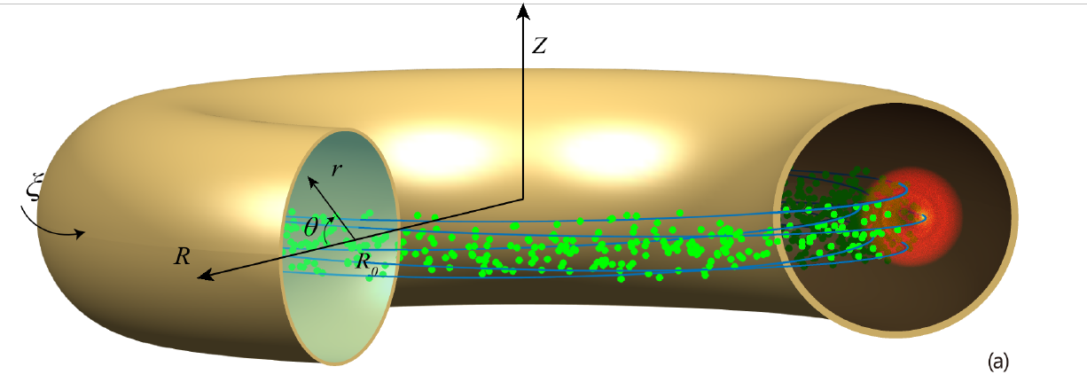 tokamak